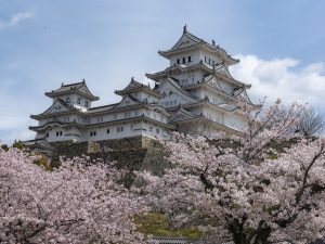 Where to go in Japan